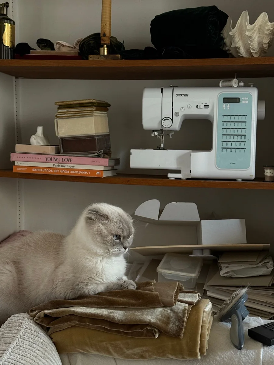 Workspace with a sewing machine in a domestic setting.