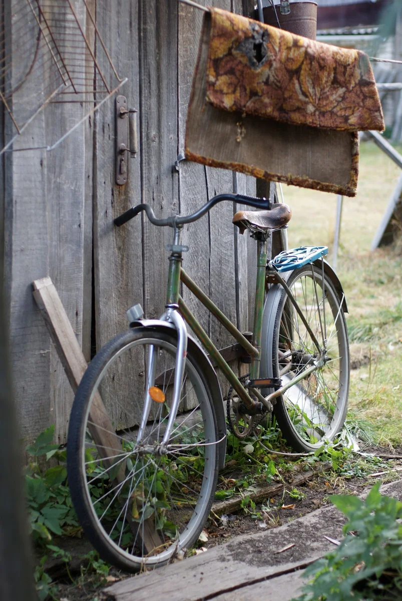 A bicycle leaning against a wooden shed wall.