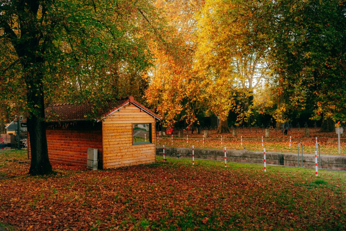 A wooden garden shed among autumn foliage